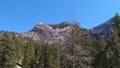 Mount Charleston Nevada Royalty Free Stock Photo