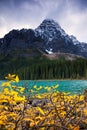 Mount Chephren and Chephren Lake in Banff National Park, Canada Royalty Free Stock Photo