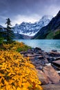 Mount Chephren and Chephren Lake in Banff National Park, Canada Royalty Free Stock Photo