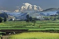 Mount Chimborazo in Ecuador - South America