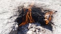 Mount Chimera is distinguished by the constant burning of bonfires. Methane and other gases exit the rock and burn. Turkey.