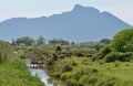 Mount Circeo landscape Royalty Free Stock Photo