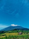 Mount Ciremai and rice fields Royalty Free Stock Photo