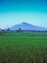 Mount Ciremai, West Java, Indonesia Royalty Free Stock Photo