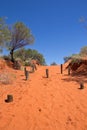 Australia, Mount Conner Lookout, Northern Territory