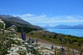 Mount Cook - Lake Pukaki Royalty Free Stock Photo