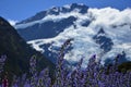 Mount Cook - Lake Pukaki Royalty Free Stock Photo