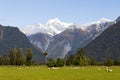 Mount Cook, Mount Tasman. Southern Alps. South Island, New Zealand Royalty Free Stock Photo