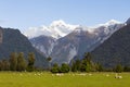 Mount Cook, Mount Tasman. Southern Alps, New Zealand