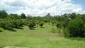 Mount Coonowrin and Mango Orchard Glasshouse Mountains Royalty Free Stock Photo