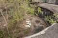 Mount Davis fort, a abandoned British military position now overgrown by the jungle on Hong Kong Island.