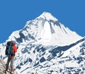 Mount Dhaulagiri peak and hiker Royalty Free Stock Photo