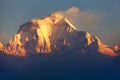 Mount Dhaulagiri from Poon Hill view point, Nepal Royalty Free Stock Photo