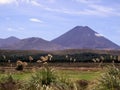 Mount Doom in New Zealand