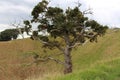 Mount Eden in Auckland, New Zealand Royalty Free Stock Photo