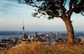 Mount Eden Auckland Royalty Free Stock Photo