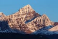 Mount Edith Cavell in the Canadian Rockies at sunrise Royalty Free Stock Photo