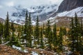 Mount Edith Cavell Royalty Free Stock Photo