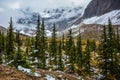 Mount Edith Cavell