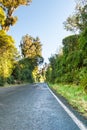 Road through New Zealand natural forest Royalty Free Stock Photo