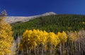 Mount Elbert Royalty Free Stock Photo