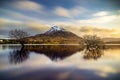 Mount Errigal and bushes