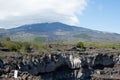 Mount Etna Lava Fields