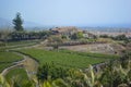 Rich agriculture on Mount Etna Sicily Italy