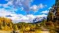 Mount Fitzwilliam, East on the Yellowhead Highway,  part of the Canadian Rockies. The lower half is dolomite Royalty Free Stock Photo
