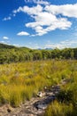 Mount French lookout