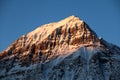 Mount Fryatt in the Canadian Rockies at sunrise Royalty Free Stock Photo