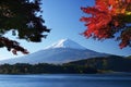 Mount Fuji Royalty Free Stock Photo