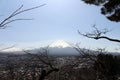 Mount Fuji as seen from Chureito Pagoda. When religion meets nat Royalty Free Stock Photo