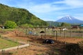 Mount Fuji & Asagiri Plateau