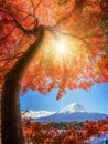 Mount Fuji in Autumn Color, Japan Royalty Free Stock Photo