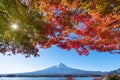 Mount Fuji in Autumn with colorful maple leaves Royalty Free Stock Photo