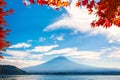 Mount Fuji Royalty Free Stock Photo