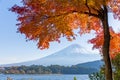Mount Fuji and autumn maple leaves Royalty Free Stock Photo