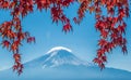 Mount Fuji and autumn maple leaves, Kawaguchiko, Japan Royalty Free Stock Photo