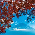 Mount Fuji and autumn maple leaves, Kawaguchiko lake, Japan Royalty Free Stock Photo