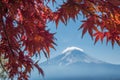 Mount Fuji and autumn maple leaves, Kawaguchiko lake, Japan Royalty Free Stock Photo