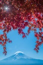 Mount Fuji and autumn maple leaves, Kawaguchiko lake, Japan Royalty Free Stock Photo