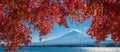 Mount Fuji and autumn maple leaves, Kawaguchiko lake, Japan Royalty Free Stock Photo