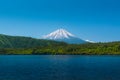 Mount Fuji behide the forest with lake