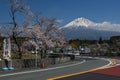 Mount Fuji and Cherry Blossom, Japan