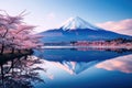 Mount Fuji and Cherry Blossom at Kawaguchiko lake in Japan, A beautiful scenic landscape of Mount Fuji or Fujisan with reflection Royalty Free Stock Photo