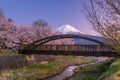 Mount Fuji with Cherry Blossom sakura, view from Lake Kawaguchiko Royalty Free Stock Photo