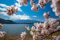 Mount Fuji with Cherry Blossom sakura, view from Lake Kawaguchiko Royalty Free Stock Photo