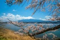 Mount Fuji with Cherry Blossom sakura, view from Lake Kawaguchiko Royalty Free Stock Photo