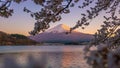 Mount Fuji with Cherry Blossom sakura, view at Lake Kawaguchiko Royalty Free Stock Photo